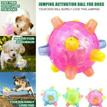 Load image into Gallery viewer, JUMPING ACTIVATION BALL FOR DOGS
