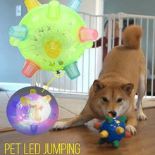 Load image into Gallery viewer, JUMPING ACTIVATION BALL FOR DOGS
